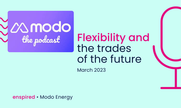 Flexibility and the traders of the future