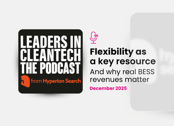 Flexibility as a key resource and BESS revenue transparency