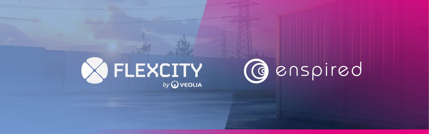 bess optimization france enspired flexcity