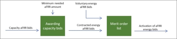 capacity bids energy bids