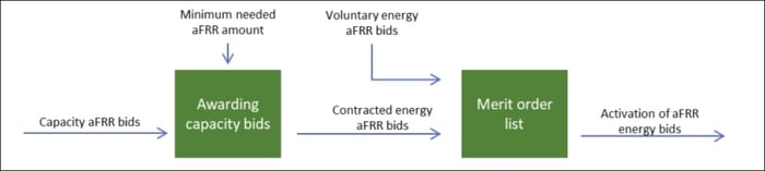 capacity bids energy bids