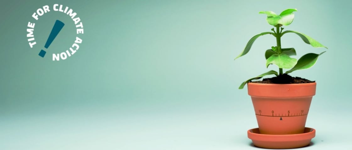 Climate Action: An initiative for the planet