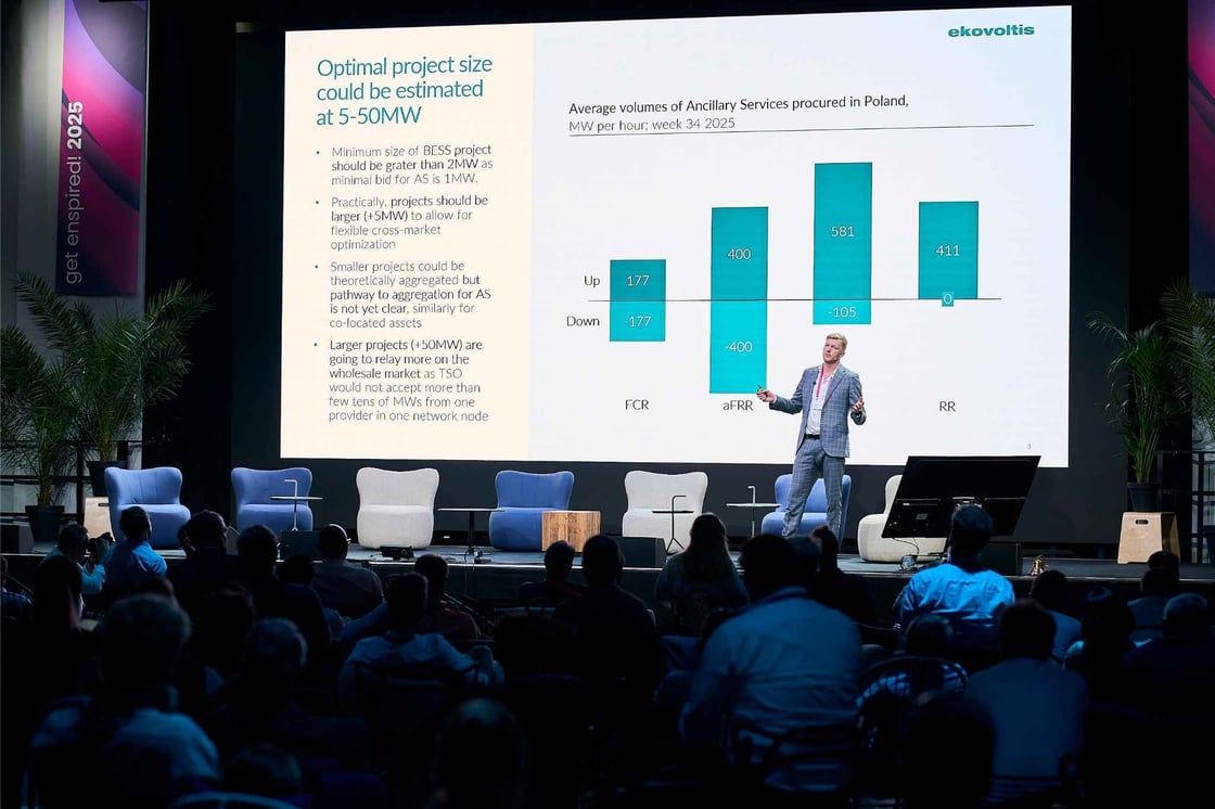 The Polish battery market