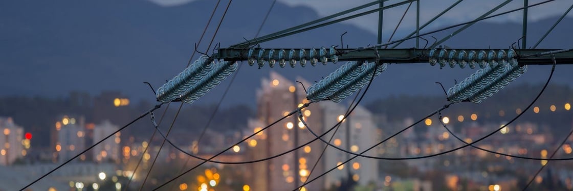 Grid fees in Germany